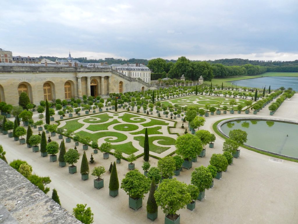Bukszpany odmiany Betterbuxus® w Ogrodach Wersalu sadzone w 2024roku.