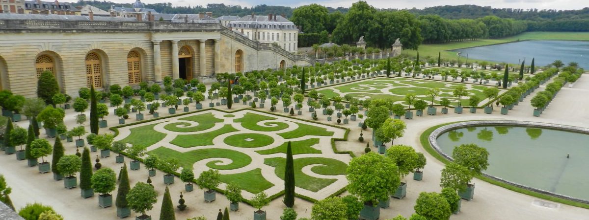 gardens-at-versailles-palace-france-2024-12-04-22-33-25-utc(1) Bukszpany odmiany Betterbuxus® w Ogrodach Wersalu sadzone w 2024roku.
